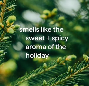 gel hand wash – balsam + berry. 12 fl oz