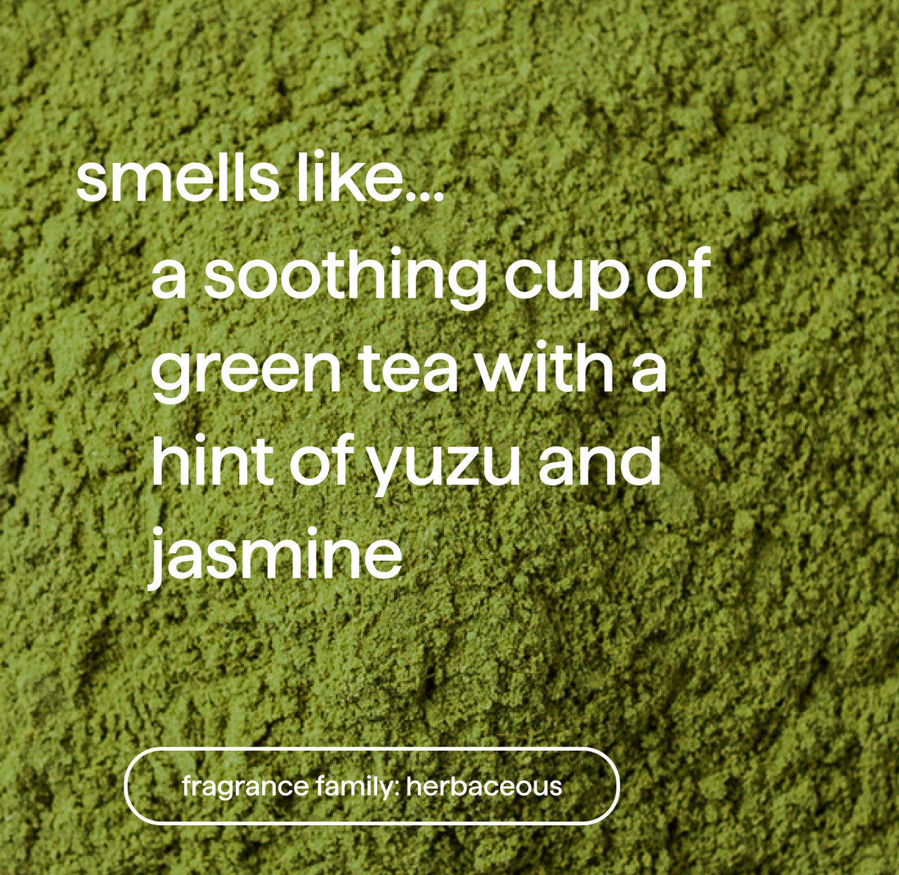 03_mindfulmatcha_fragrance__67988.1732905683.1280.1280_d54083ab-6b73-433d-b477-564e12eee5e5.jpg