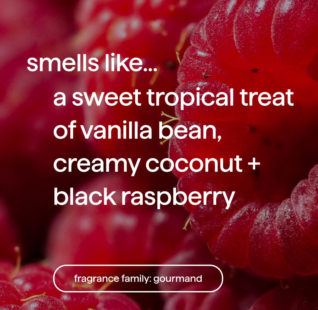 03_raspberry_vanilla_GHW_fragrance__11986.1737652552.1280.1280_73137073-b92a-472b-91d1-61d061a5880e.jpg