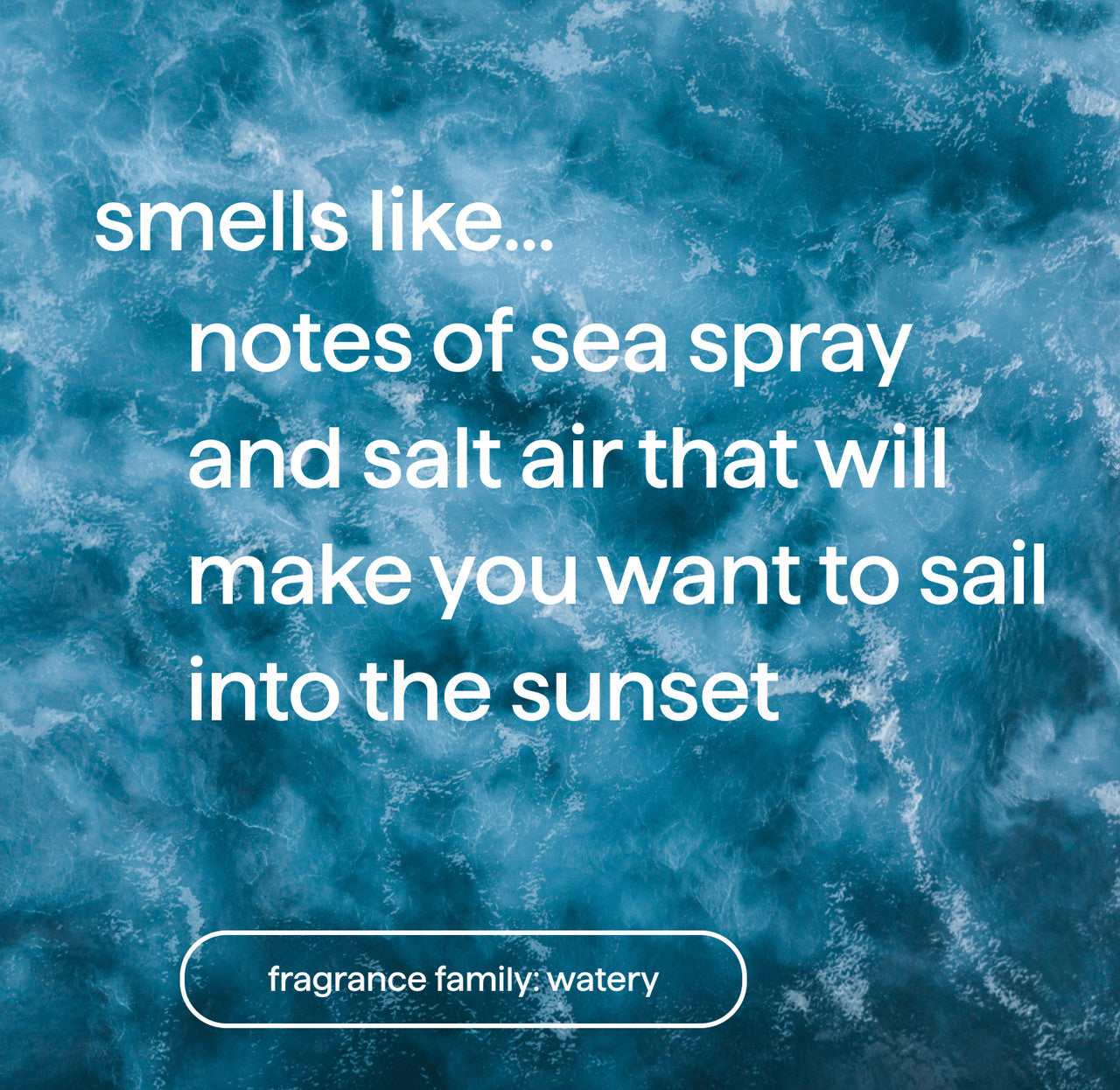 03_sea_spray_salt_air_fragrance__28350.1732811921.1280.1280_b9777bd0-4e43-4761-9713-f99dd6e4b891.jpg