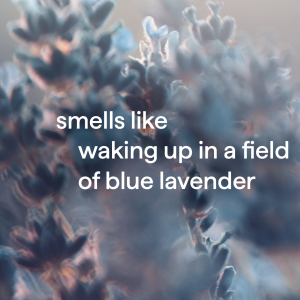 body wash – wind down. 18 fl oz