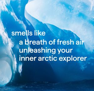 2-in-1 shampoo + conditioner – glacier + granite. 14 fl oz