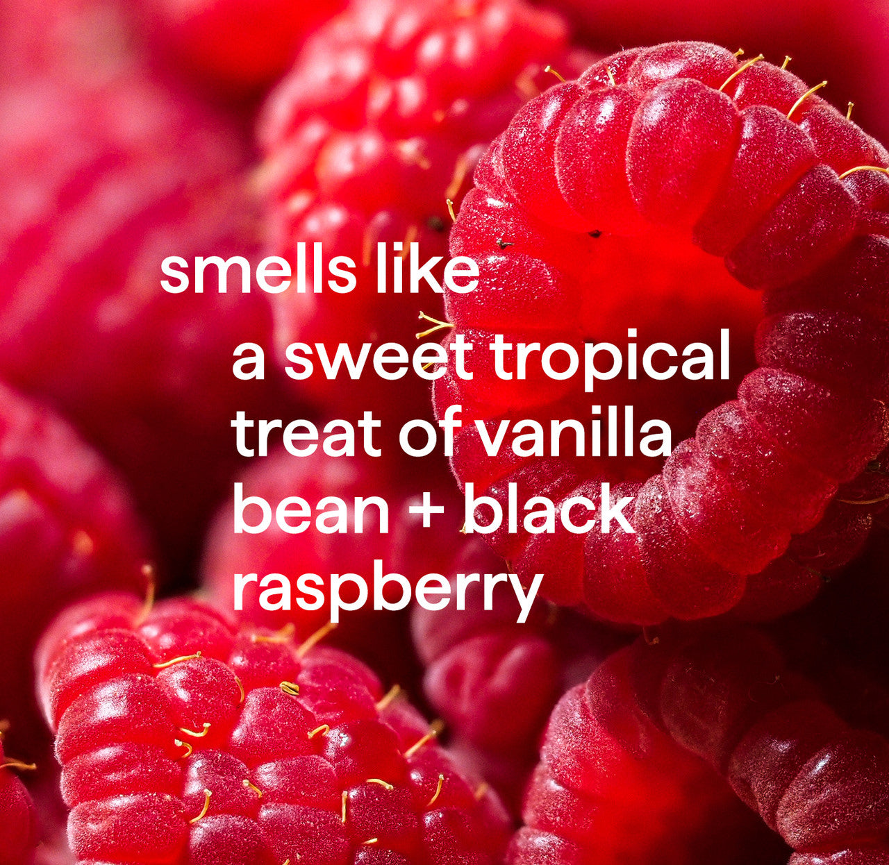 Hand_Vanilla_Rasperberry_Fragrance__60579__46138.1726062639.1280.1280.jpg