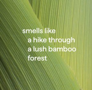 antibacterial all-purpose cleaner – bamboo. 28 fl oz