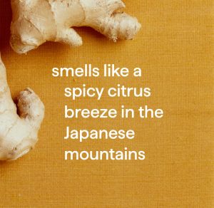 squirt + mop hard floor cleaner – ginger yuzu. 25 fl oz