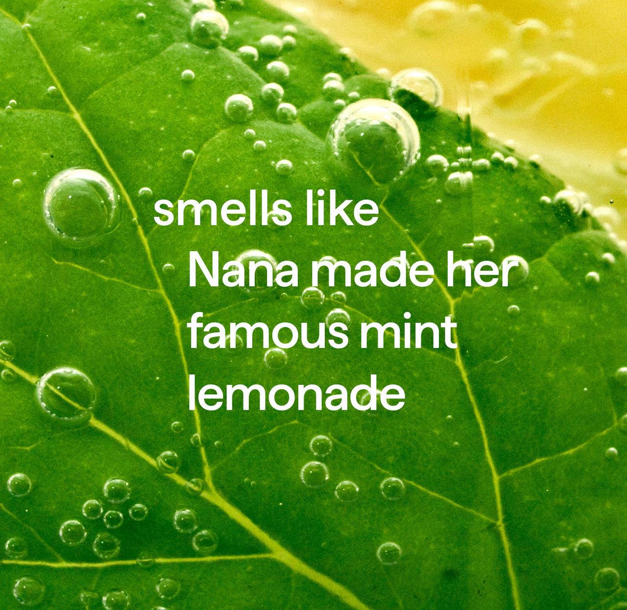 Home_Lemon_Mint_Fragrance__80055__49044.1726062647.1280.1280_361c46c0-bbbe-4fd5-ae8a-a4d717382bd1.jpg
