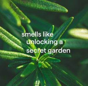 gel hand wash – rosemary. 11.5 fl oz