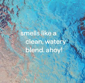 foaming hand wash – sea minerals. 10 fl oz