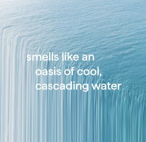 gel hand wash – waterfall. 12 fl oz