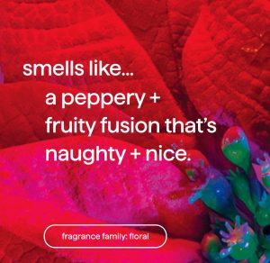 foaming hand wash – dahlia + delight. 10 fl oz