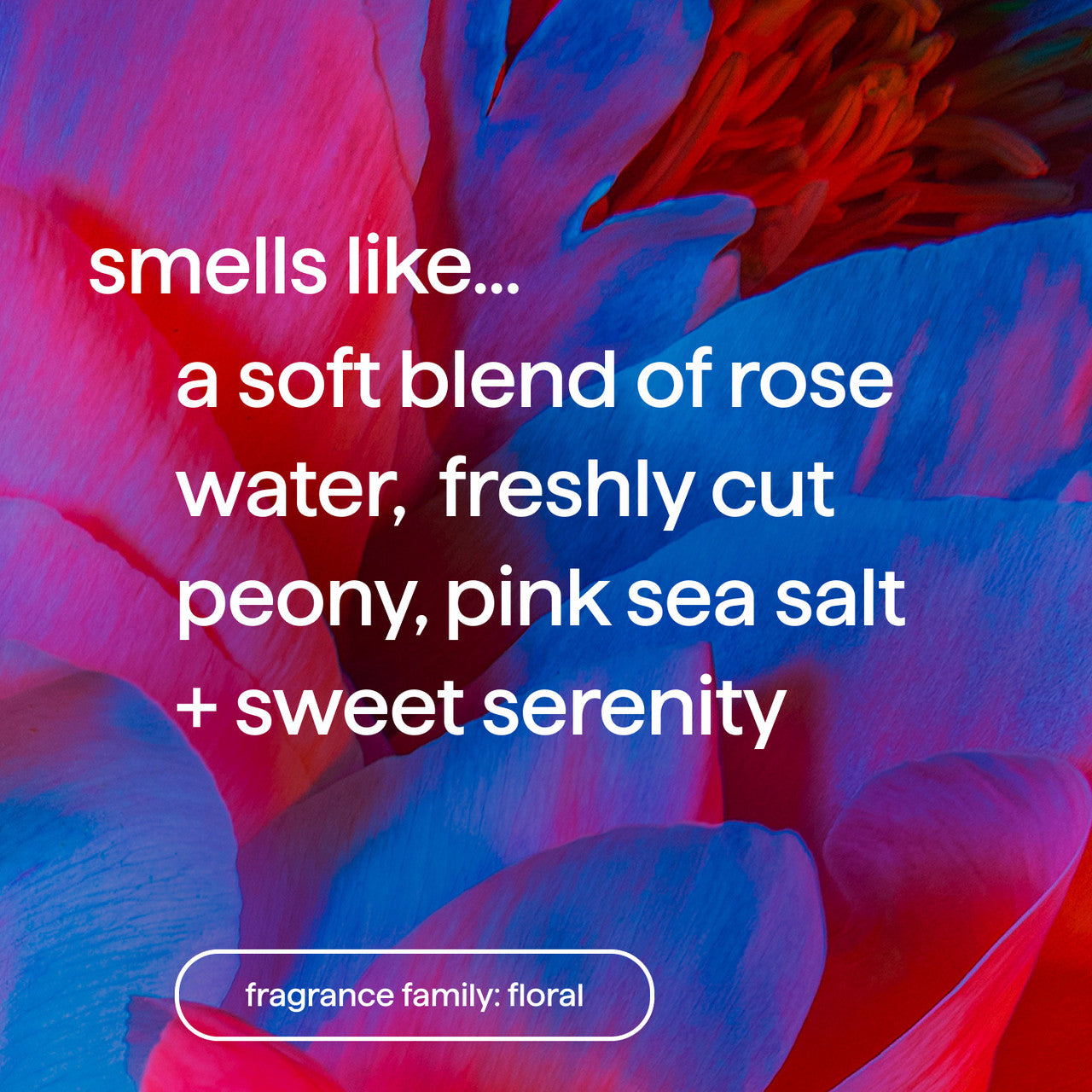 purepeace-fragrance_tile__57058.1726062647.1280.1280_96c5062a-706e-4e94-a152-098e6fca7e98.jpg